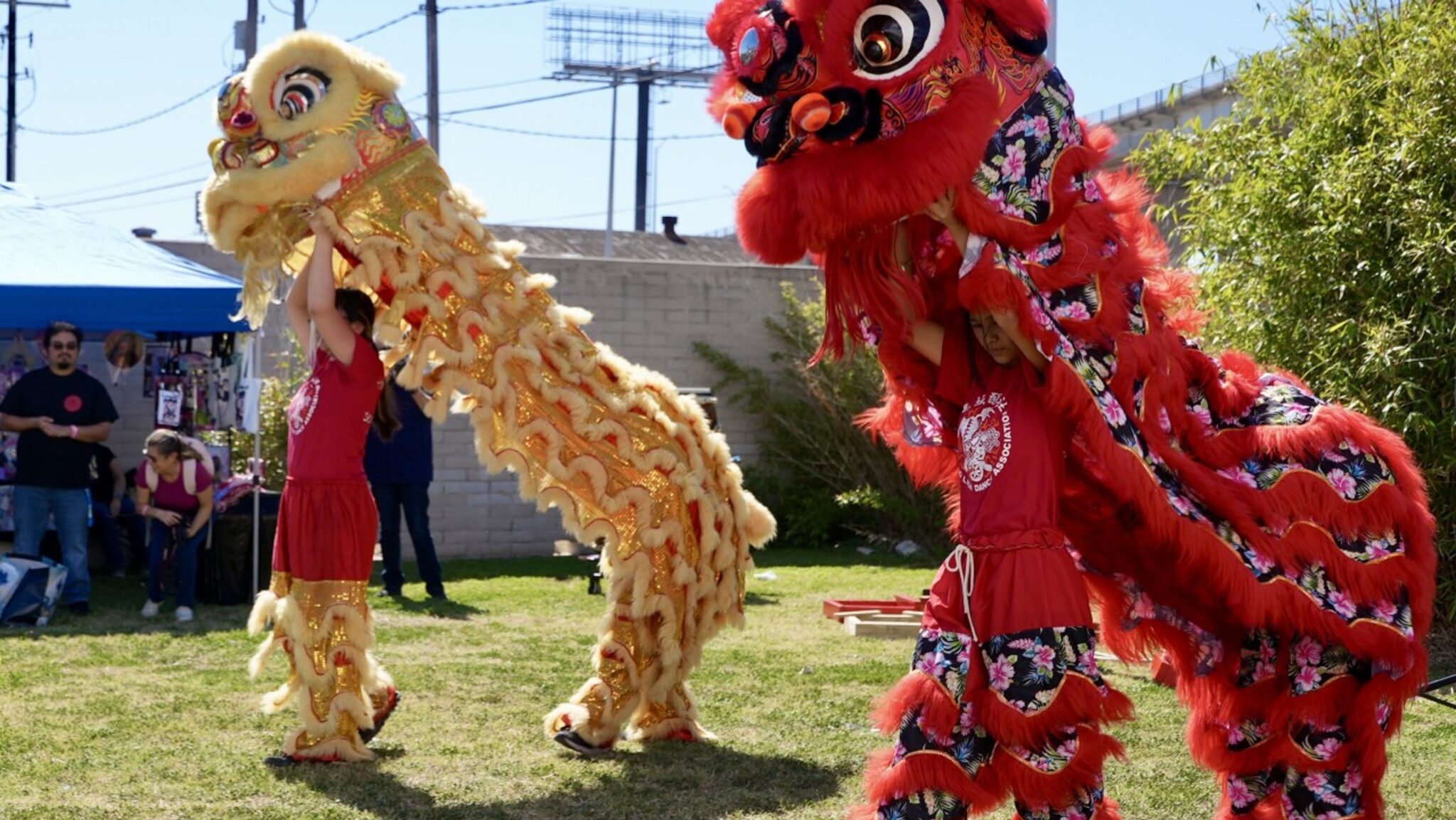 Lion Dancers bigger photo